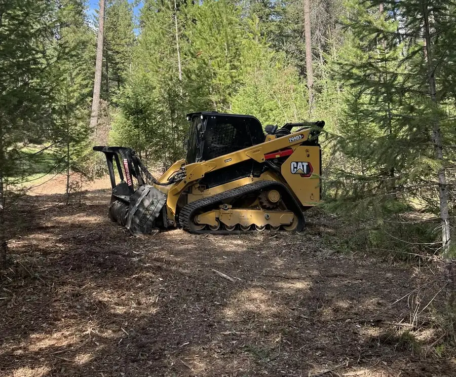 CAT 299D3 tracked loader with a forestry mulching head on a freshly mulched trail between tall North Idaho conifers