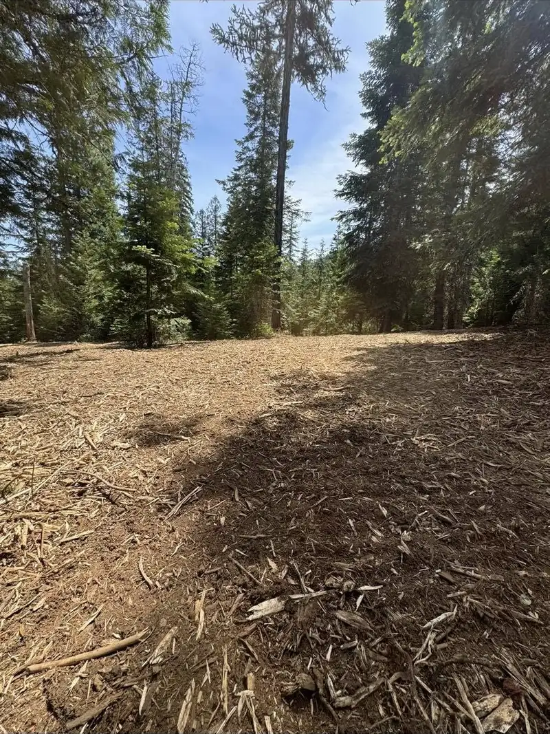 Fresh mulch covering the ground after clearing